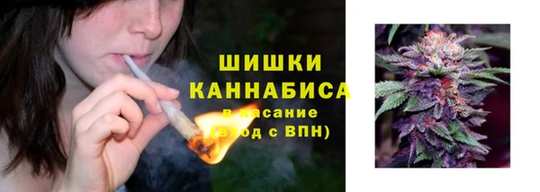 бошки Арсеньев