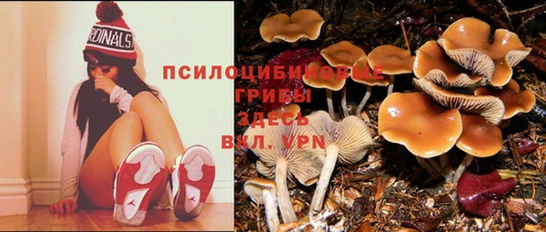 бутират Армянск